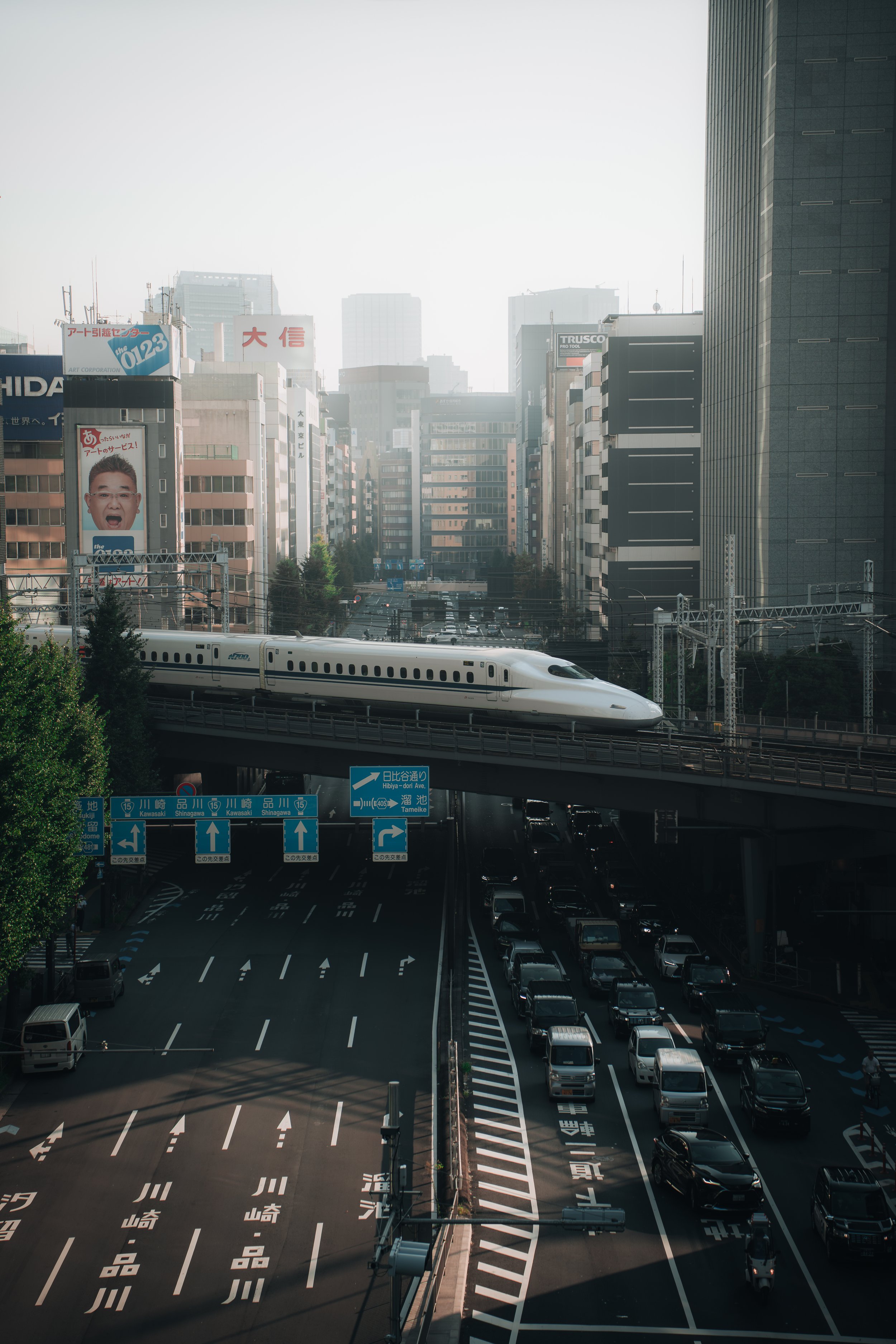 Tokyo Part One-21.jpg