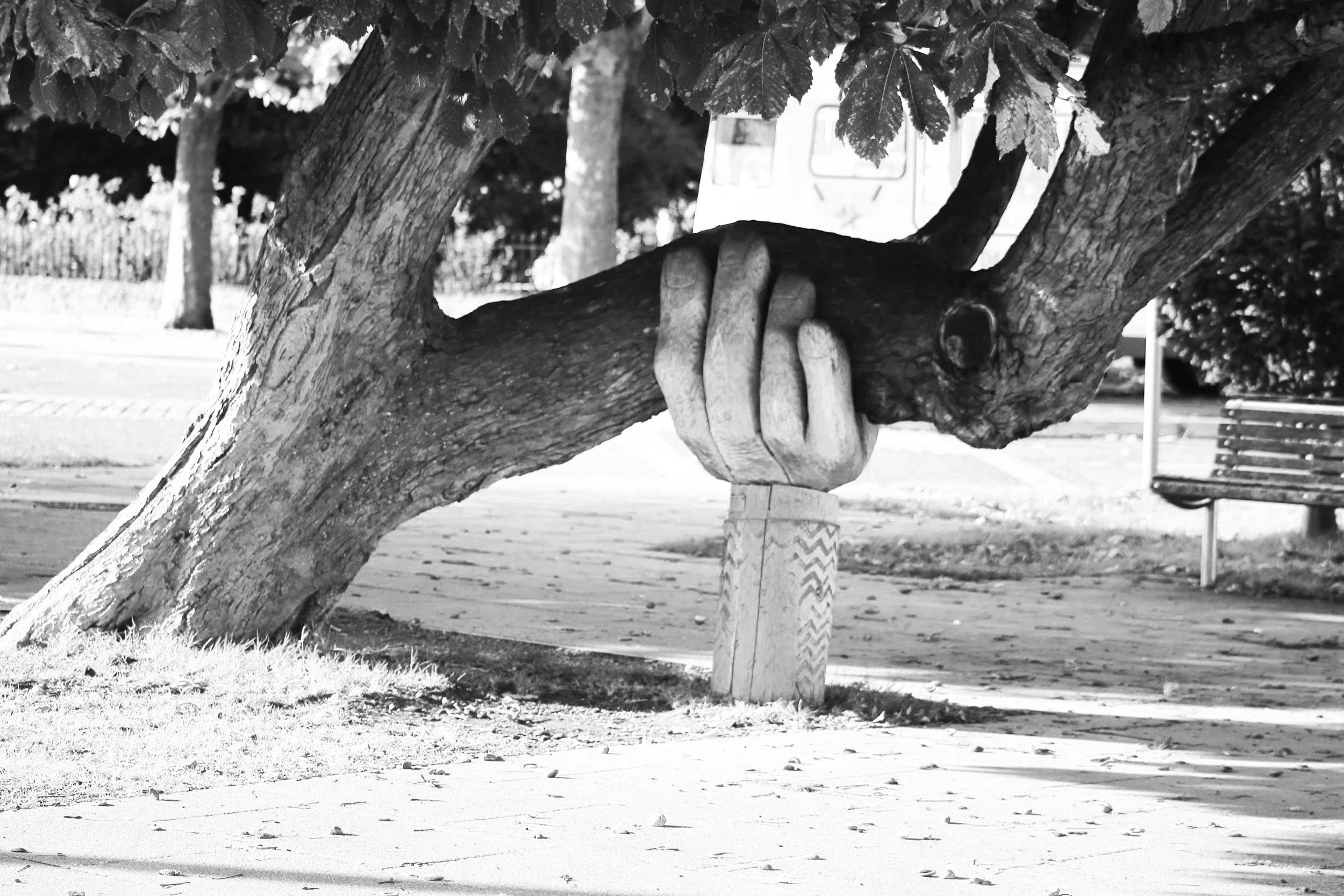 A large tree with a carved hand gripping its branch, situated in a park with benches and a sidewalk visible in the background.