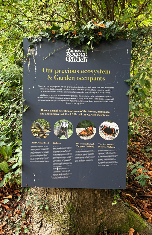 Information sign about the ecosystem and garden occupants at Painswick Rococo Garden, featuring pictures of the Great Crested Newt, Badger, The Comma Butterfly, and The Red Admiral butterfly.
