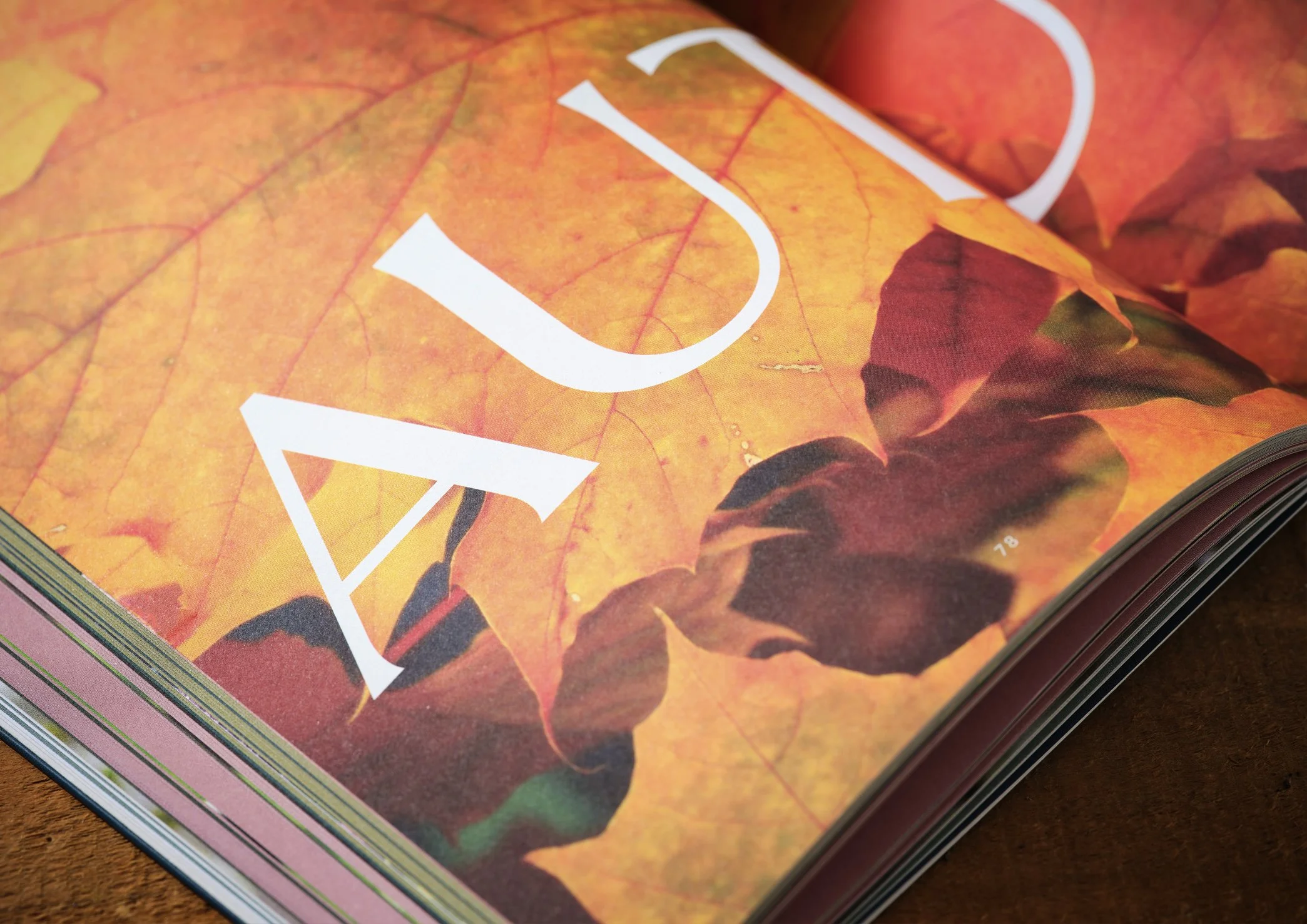 Close-up of magazine pages with orange and yellow autumn leaves and white text.
