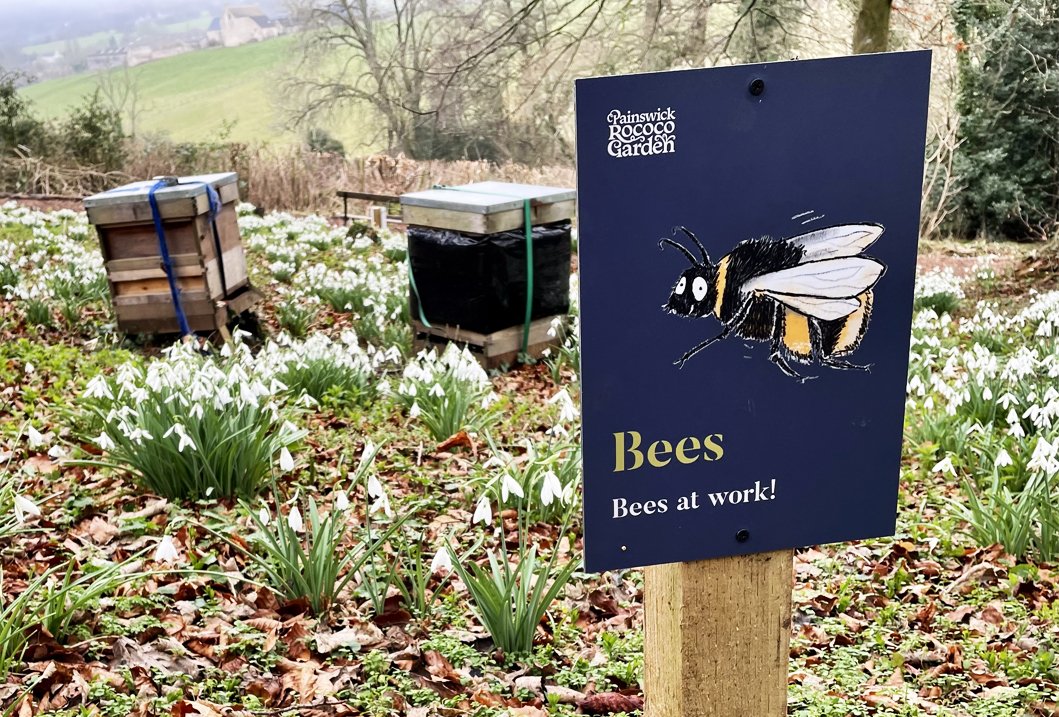 A garden with blooming snowdrop flowers, two beehives with lids in the background, and a sign that reads 'Bees - Bees at work!' with an illustration of a bee, in the Painswick Rococo Garden.