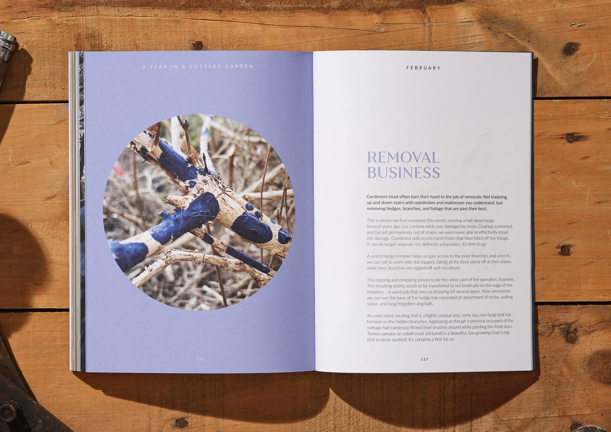 Open book on wooden table with text titled "Removal Business" and a photograph of a tree branch with blue and black paint on it.