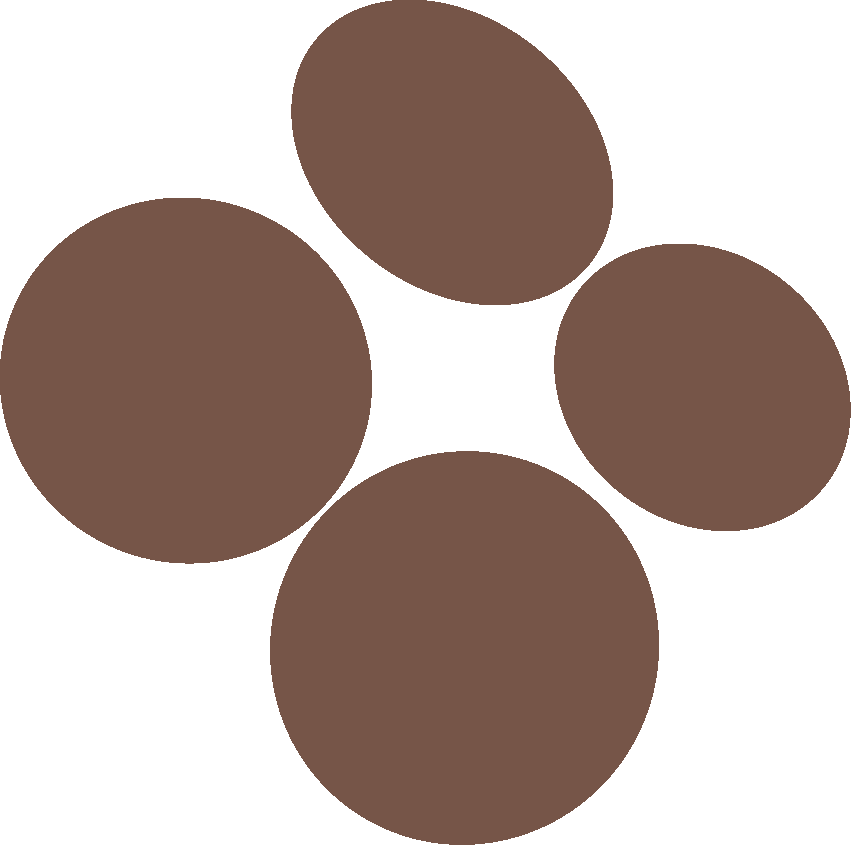 Sole T Mates Brandmark