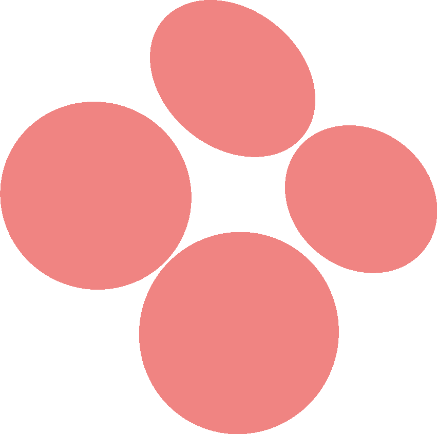 Sole T Mates logo pink