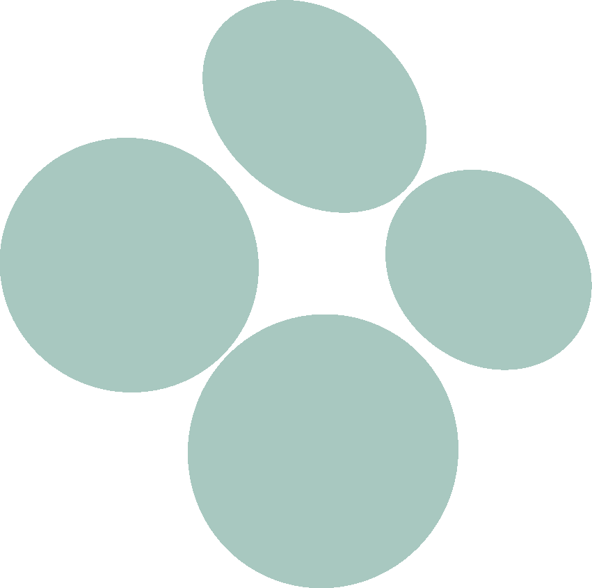 Sole T Mates Brandmark