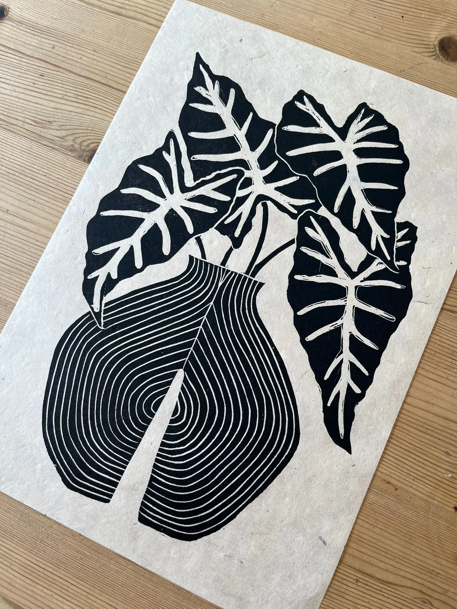 WhatsApp Image 2026-03-10 at 12.43.58.jpeg