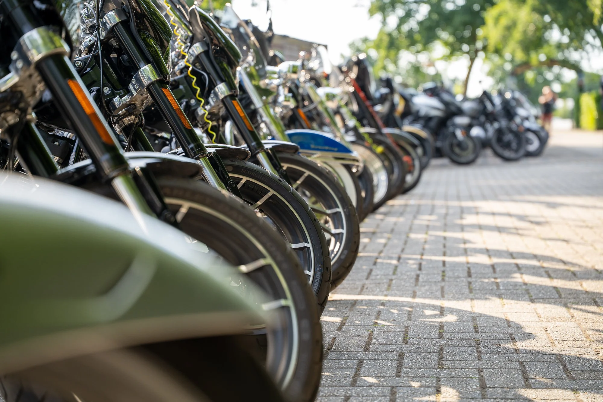 BasSchipperPhotography internet zonder logo-07361.jpg