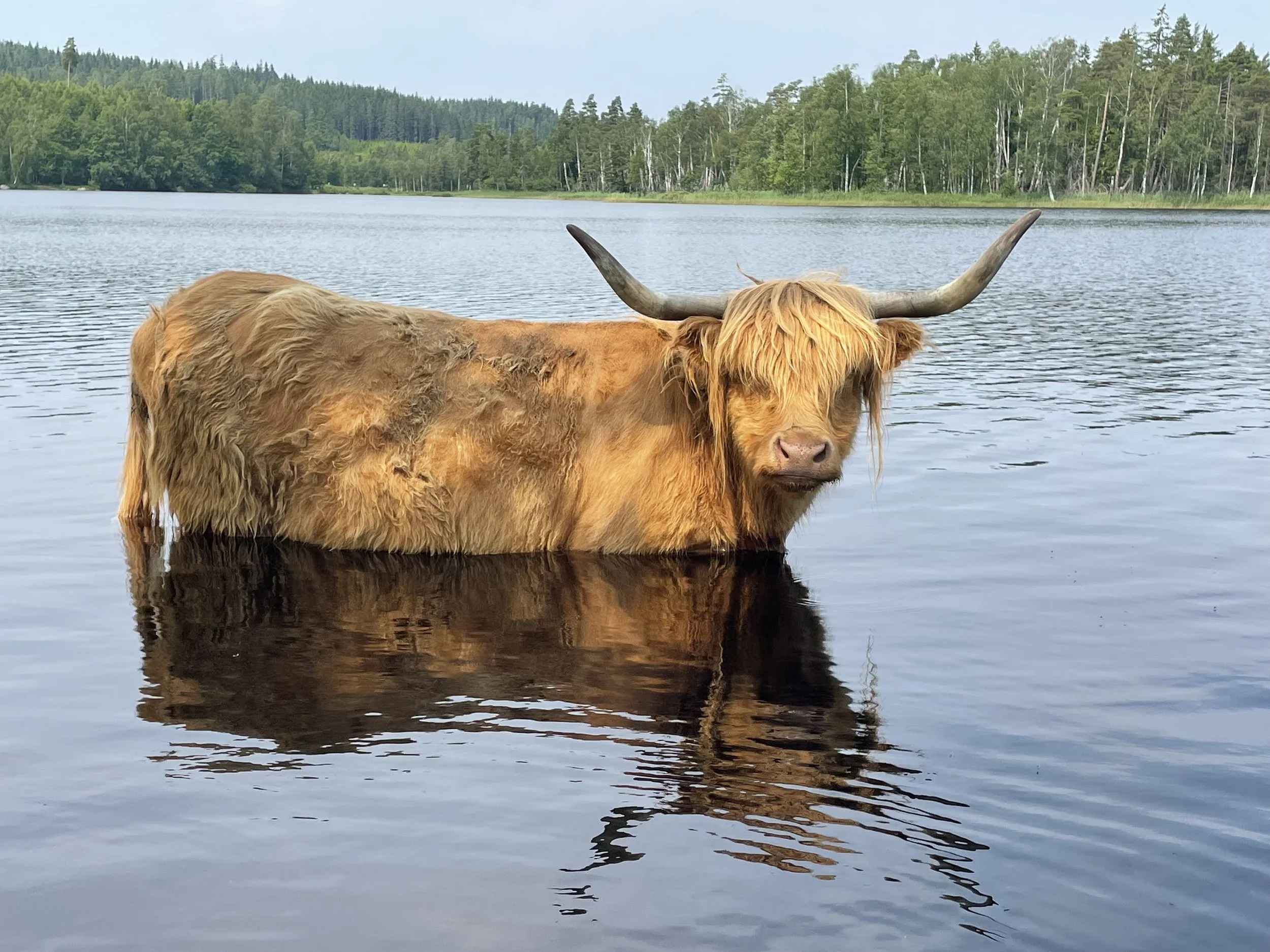 129 Marta av Rösarp