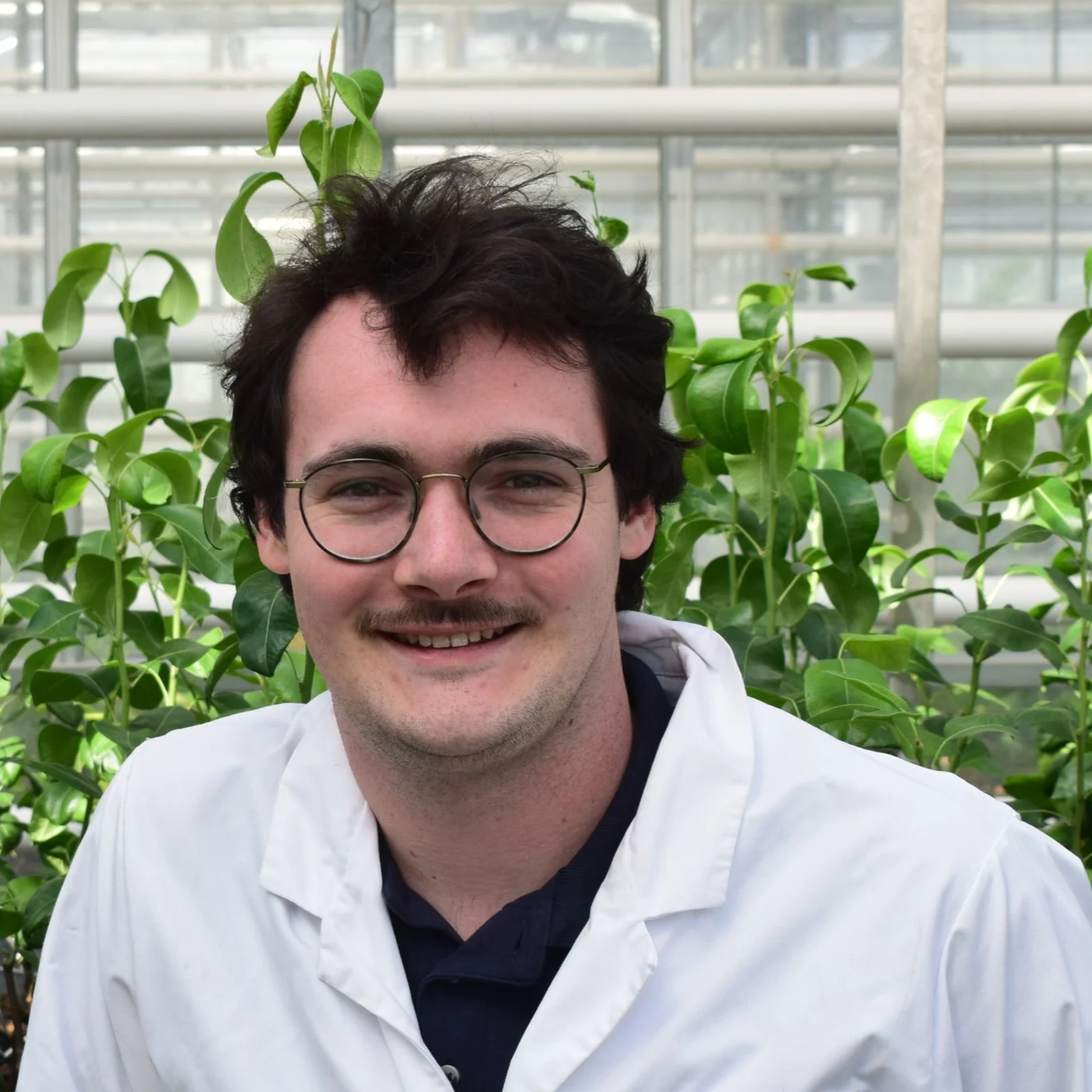 Young man with glasses and a mustache smiling in a greenhouse with green plants and metal structures in the background.