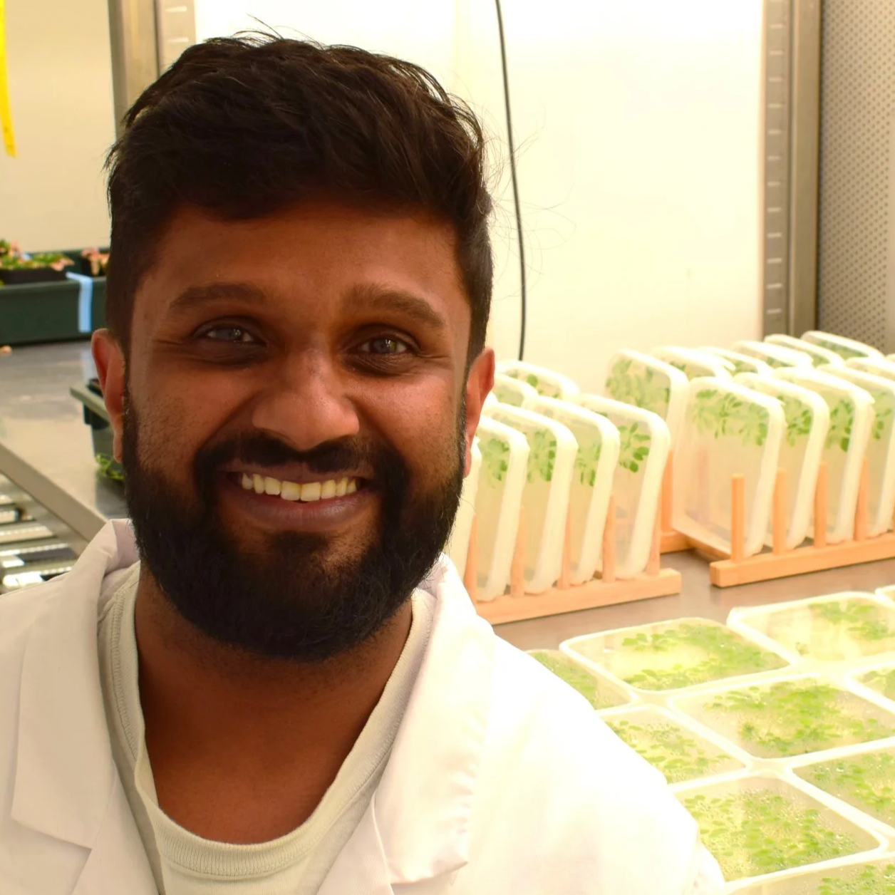 A man smiling in a bright indoor space with trays of green sprouting plants in containers around him.