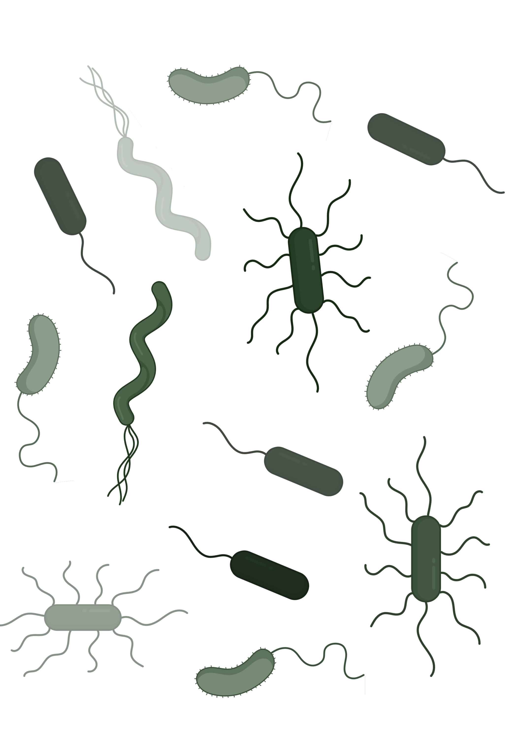 A digitally rendered map of the United States with highlighted states in green, purple, and white, and a network of curving lines connecting various regions.