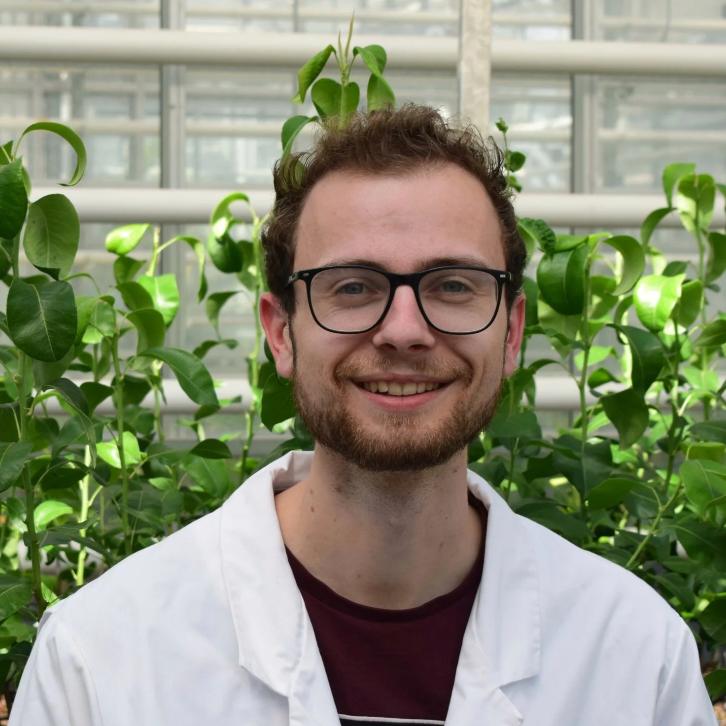 A young man with glasses and a beard smiling, standing in front of green plants and a glass structure in a greenhouse.
