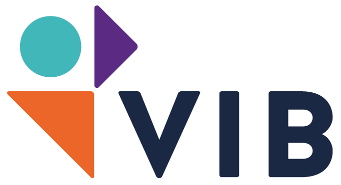 VIB logo with colorful geometric shapes