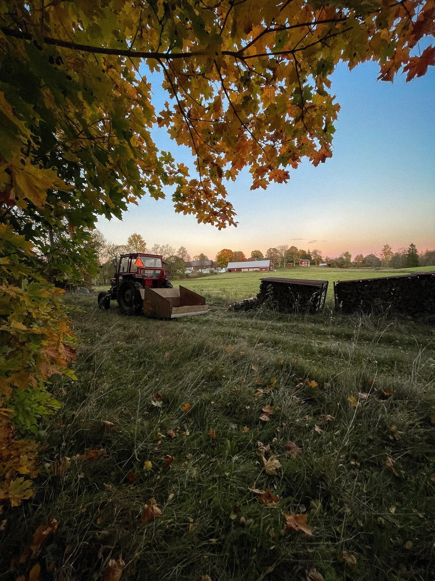 Brittsommar med brinnande h&ouml;stf&auml;rger. 🔥🍁 Hela V&auml;sterg&aring;rden hj&auml;lper till med att f&aring; in veden. 🪵
