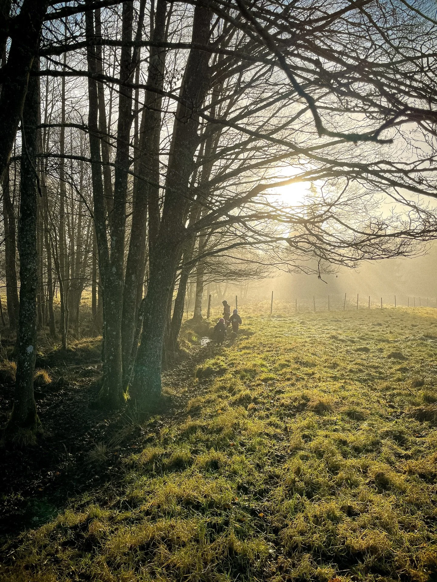 Tacksam f&ouml;r att sn&ouml;n l&aring;g kvar &ouml;ver julafton och juldagen. Men skattjakt vid diket i solig morgondimma k&auml;nns inte som n&aring;got straff det heller. ⛅️