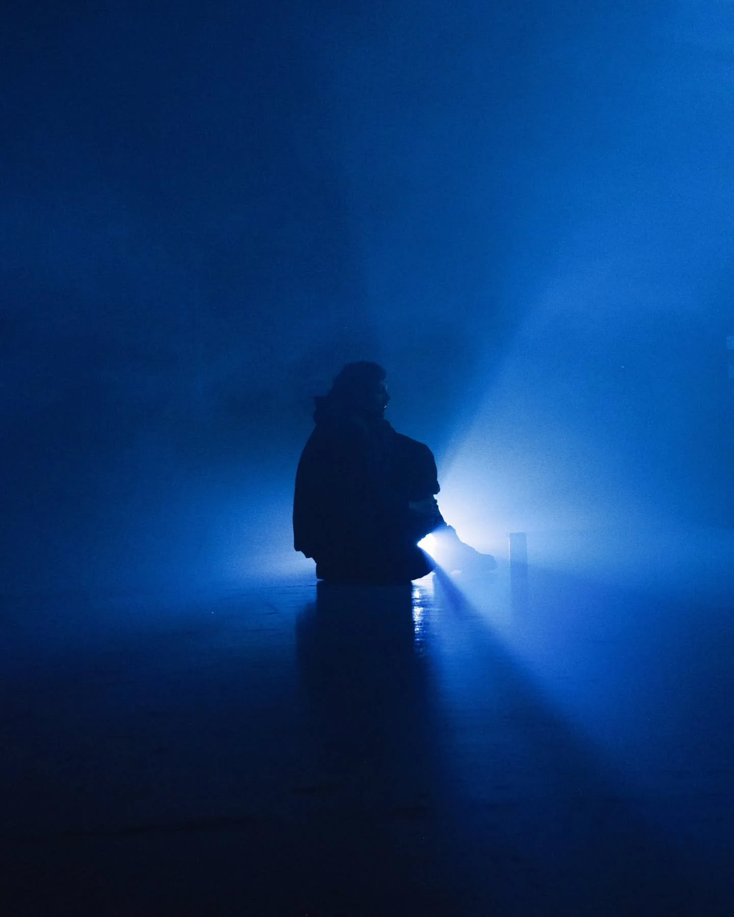 Il y a quelque temps j'ai assist&eacute; &agrave; une nouvelle production th&eacute;&acirc;trale &agrave; l'Atelier 231 de Rouen. L'&eacute;bauche d'un spectacle &agrave; l'ambiance particuli&egrave;re aux airs de Blade Runner, o&ugrave; la danse, la