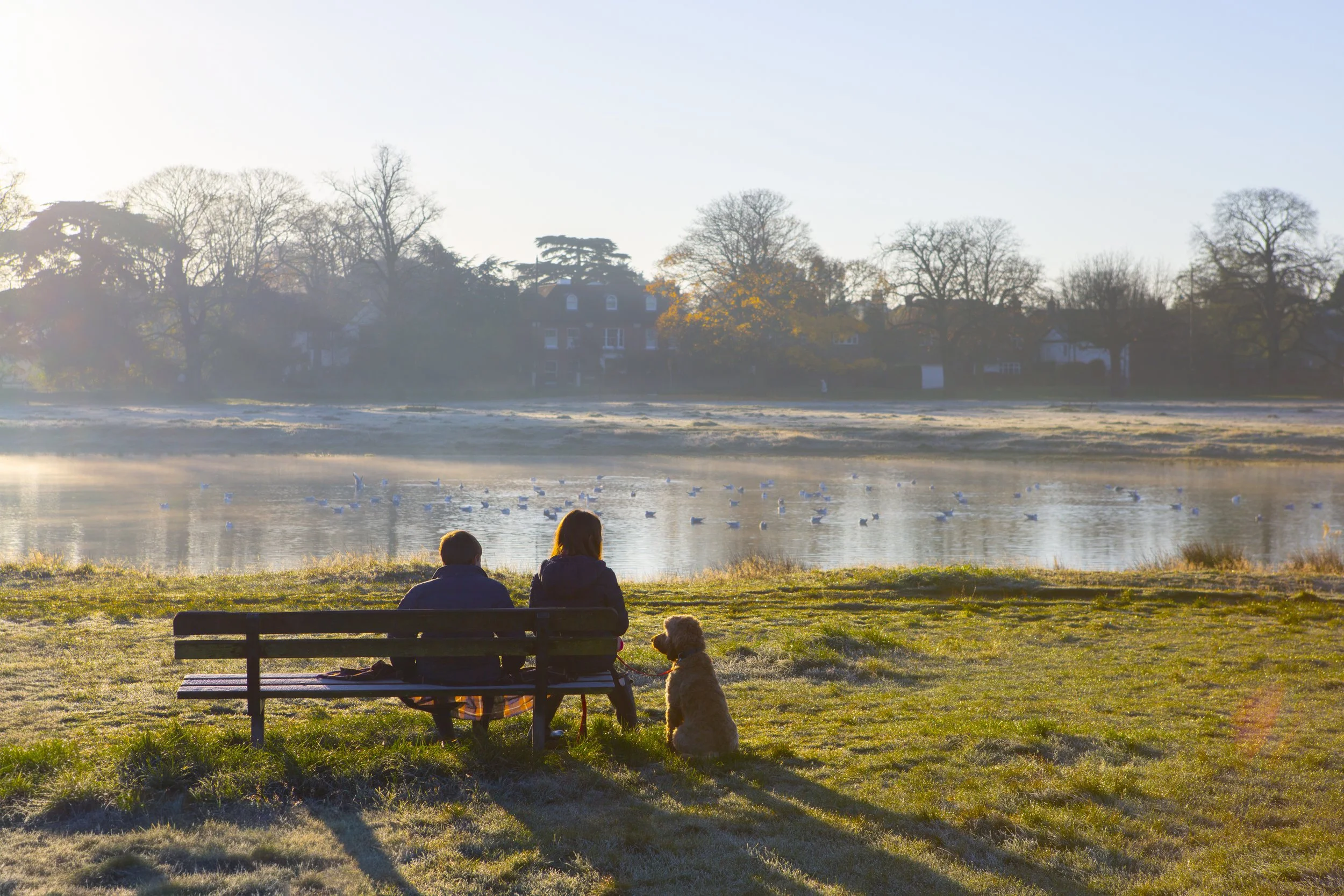 A man and woman sit on a park bench near a lake with a dog, as the sun rises or sets over the water and trees in the background.