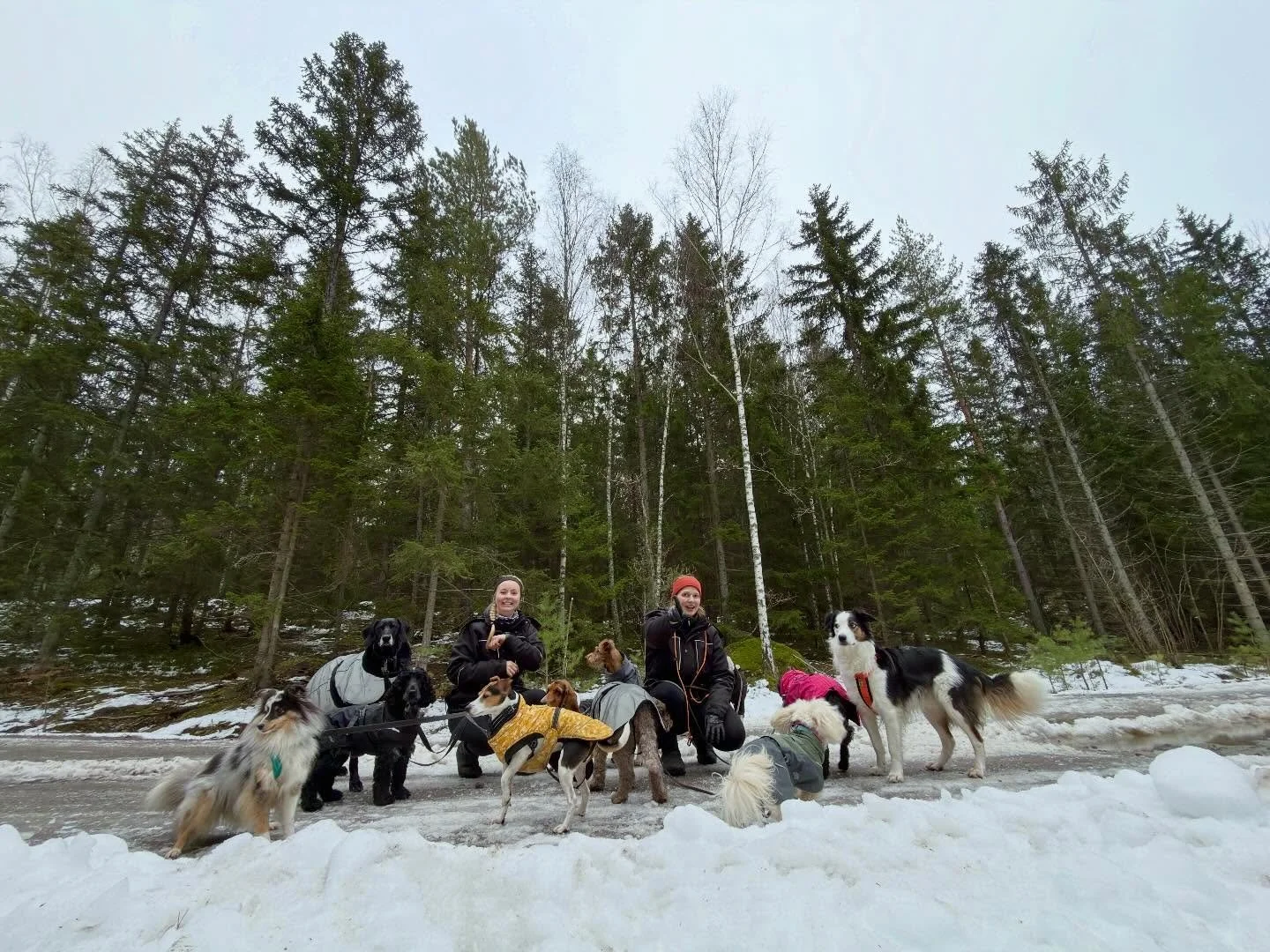Utflykt i skogen!🌲🐕