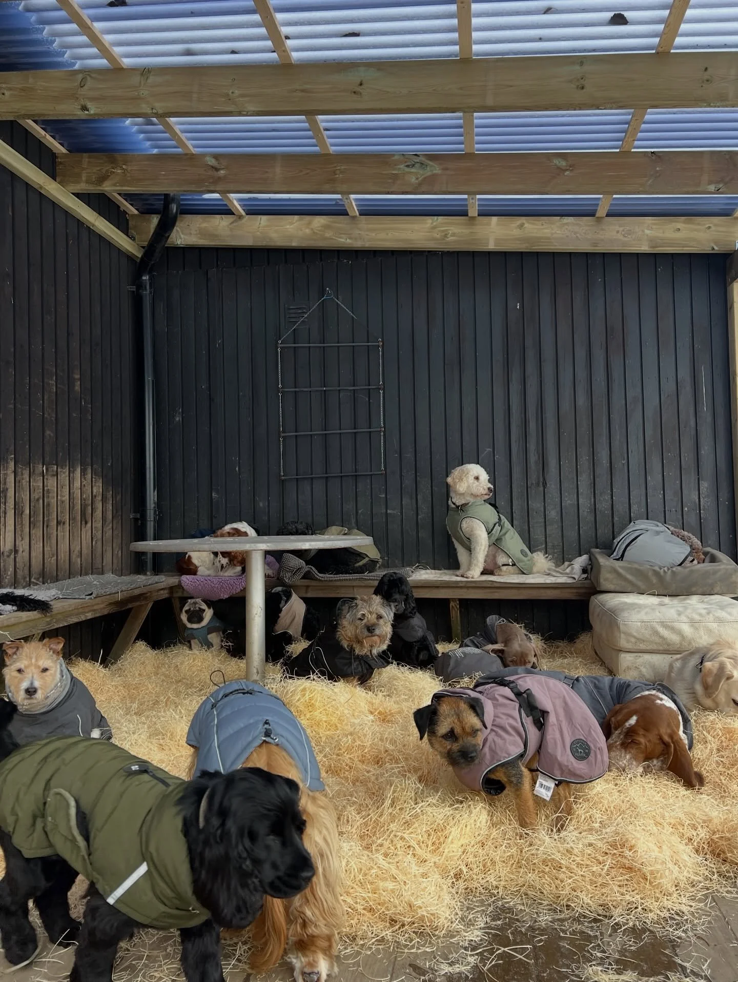 Tack b&auml;sta Micke @mickes_allfix som byggde ett s&aring; fint tak till oss s&aring; vi kan h&aring;lla oss torra och varma ❤️🥳🐶🏠