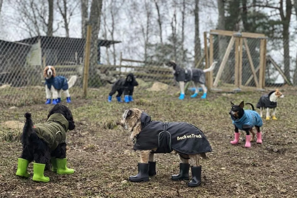 Med tanke p&aring; senaste geggan inf&ouml;r vi nu st&ouml;velkrav vid regniga dagar. Ni beh&ouml;ver inte inf&ouml;rskaffa st&ouml;vlar sj&auml;lva, vi har redan fixat‼️🥾🌧️