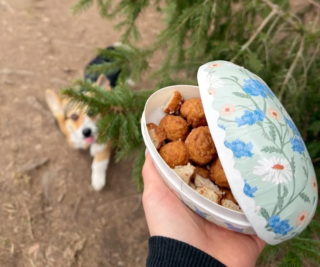 Sista dagen innan p&aring;sk-uppeh&aring;llet hade en f&ouml;delsedagshund f&aring;tt hj&auml;lp av p&aring;skharen att g&ouml;mma k&ouml;ttbullar i rastg&aring;rden till alla hundarna. 
Glad p&aring;sk &ouml;nskar vi p&aring; Canigo (och p&aring;skh