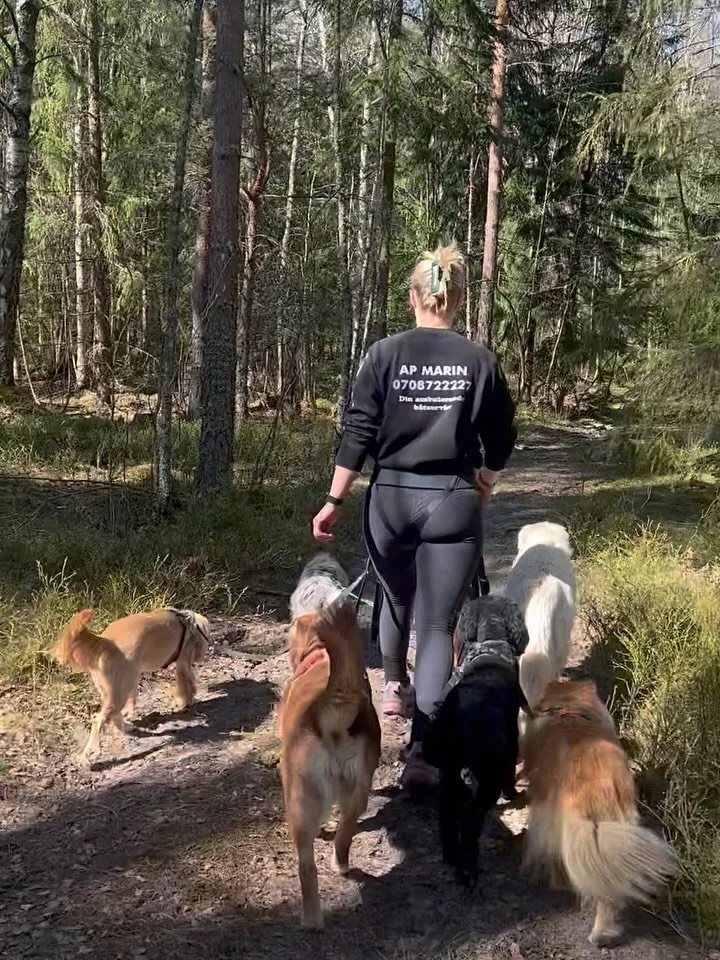 Ut p&aring; tur!🐕🌲🥰