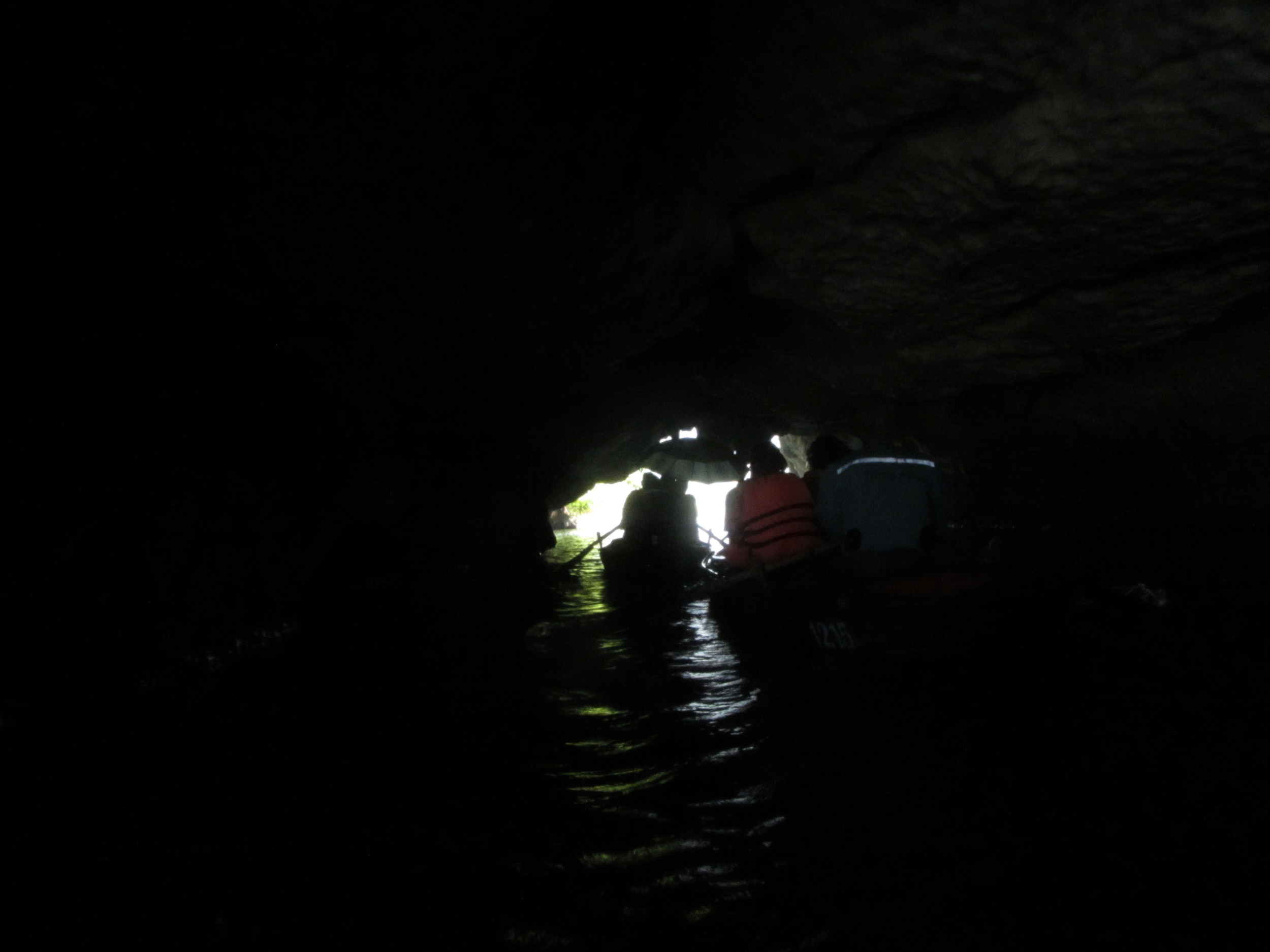 IMG_1228.png