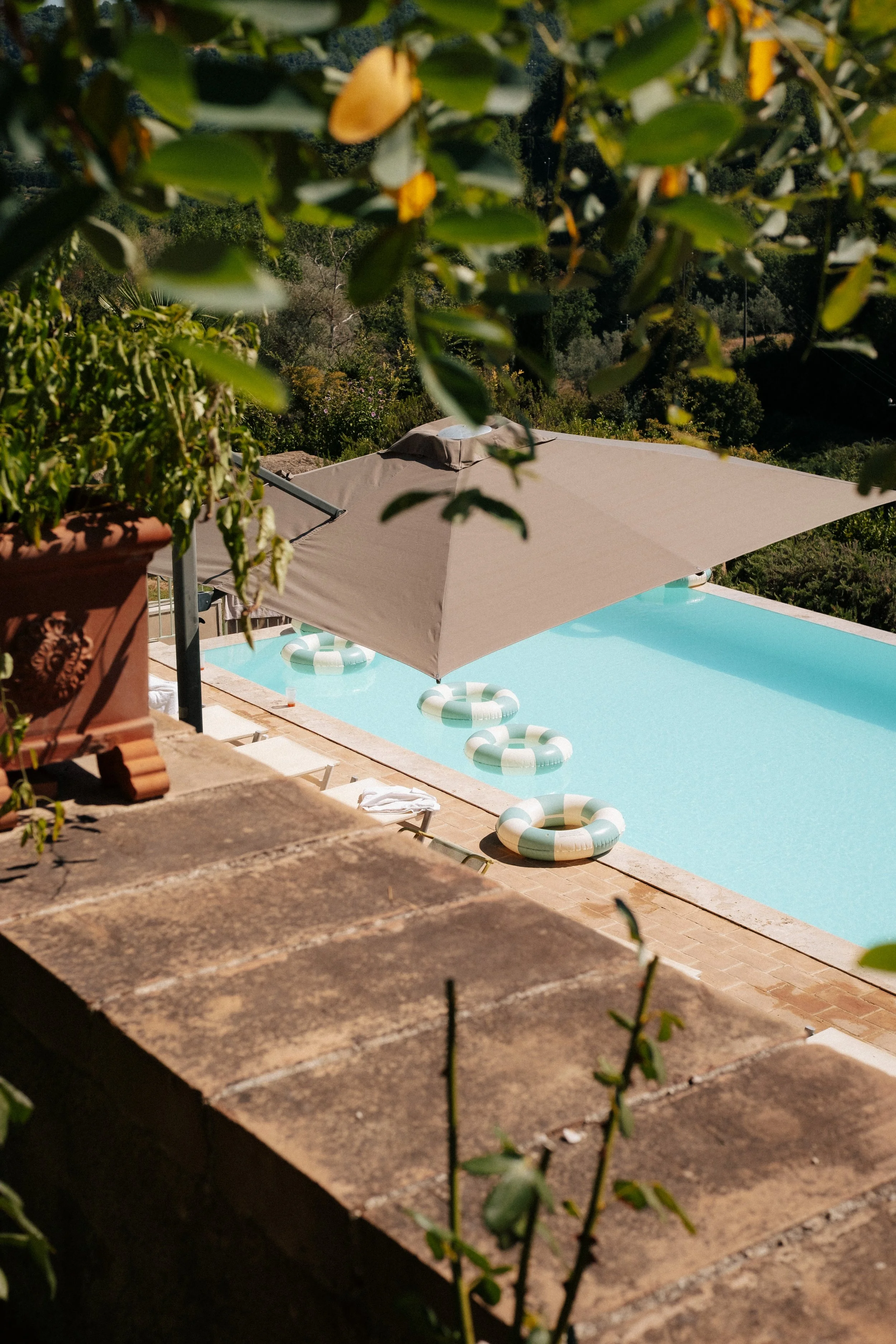 A swimming pool viewed from a shaded patio with a large umbrella, surrounded by lush green trees and plants.