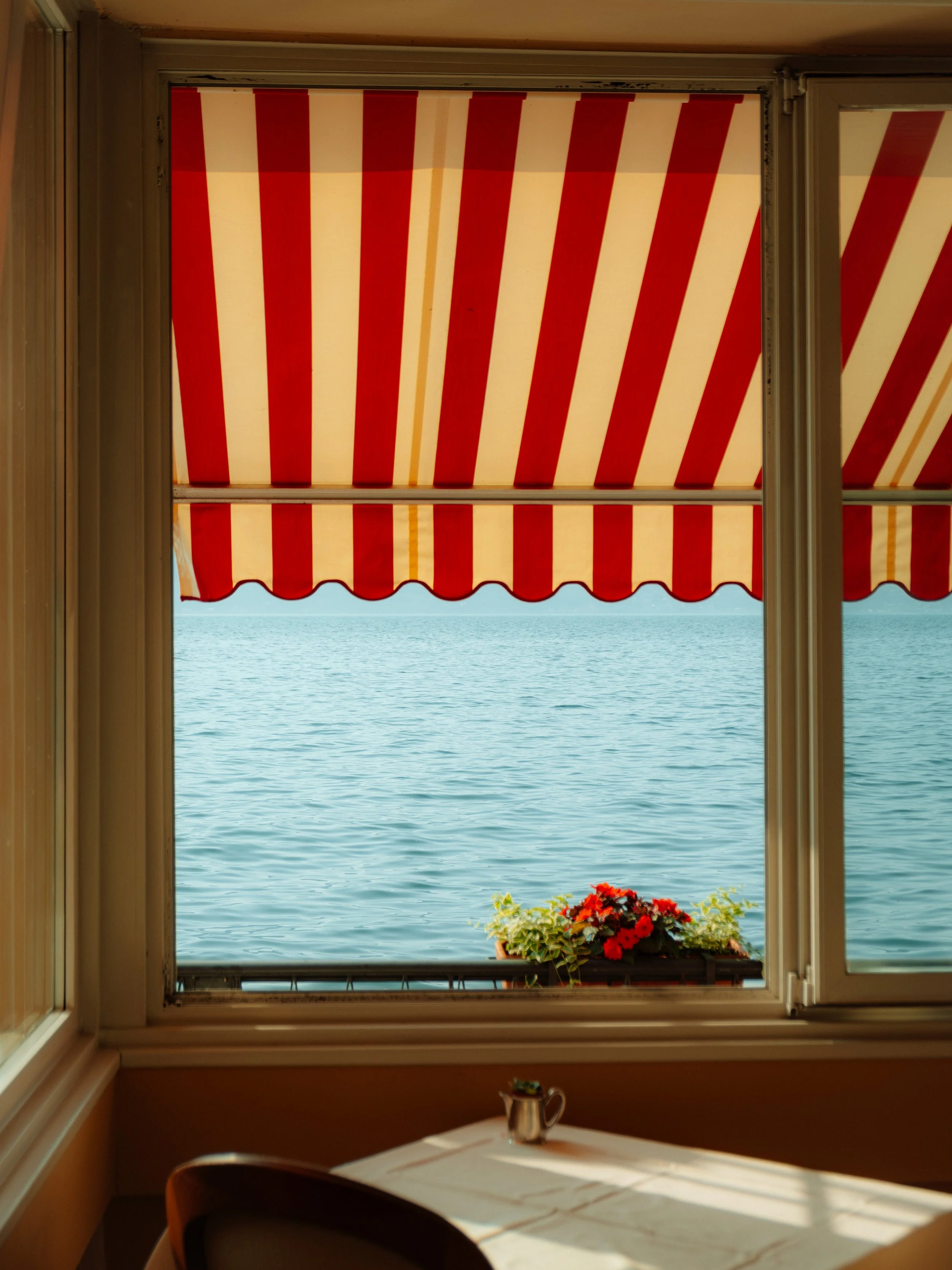 DSCF0519.jpg