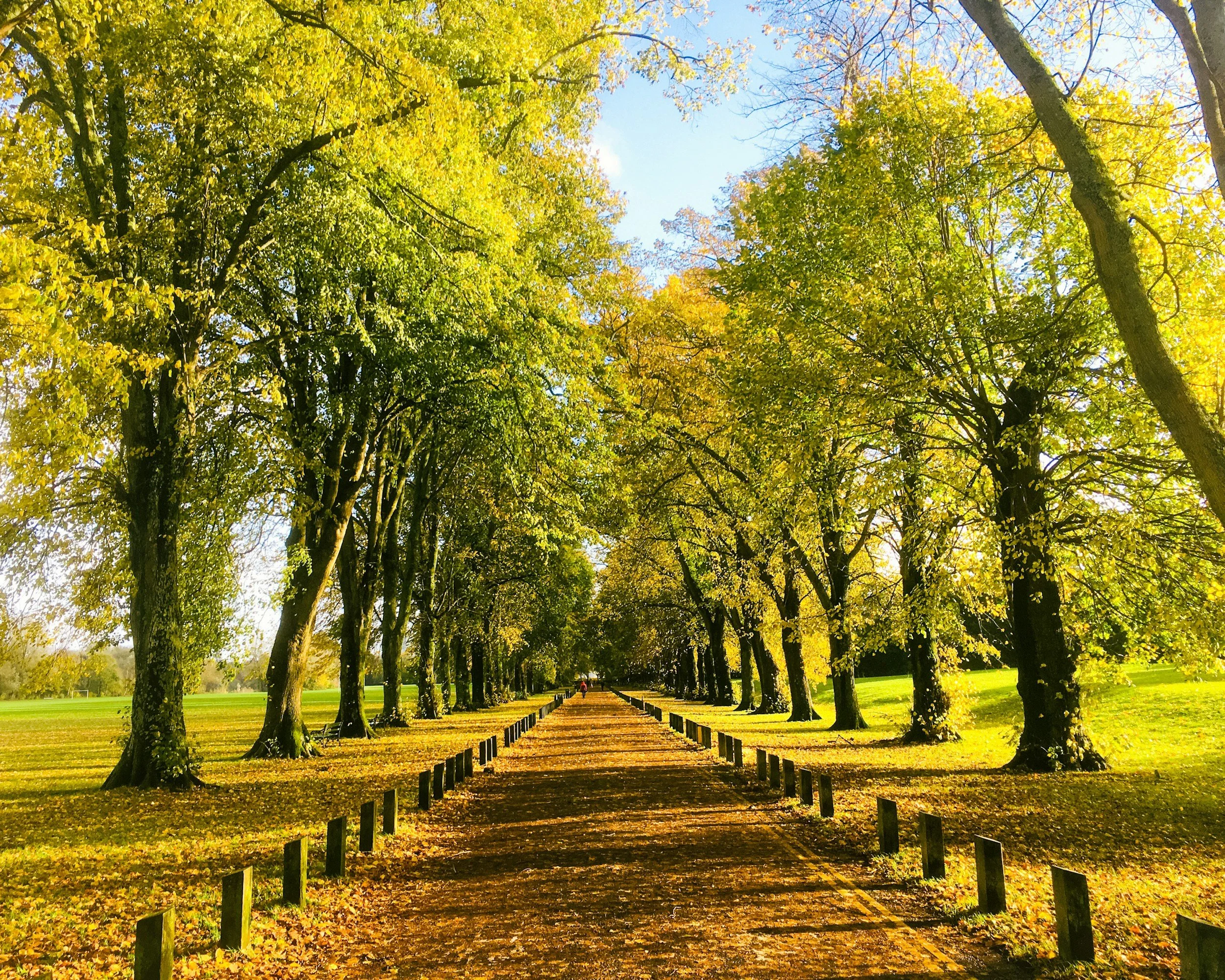 The best UK postcodes for first-time property investors in 2026