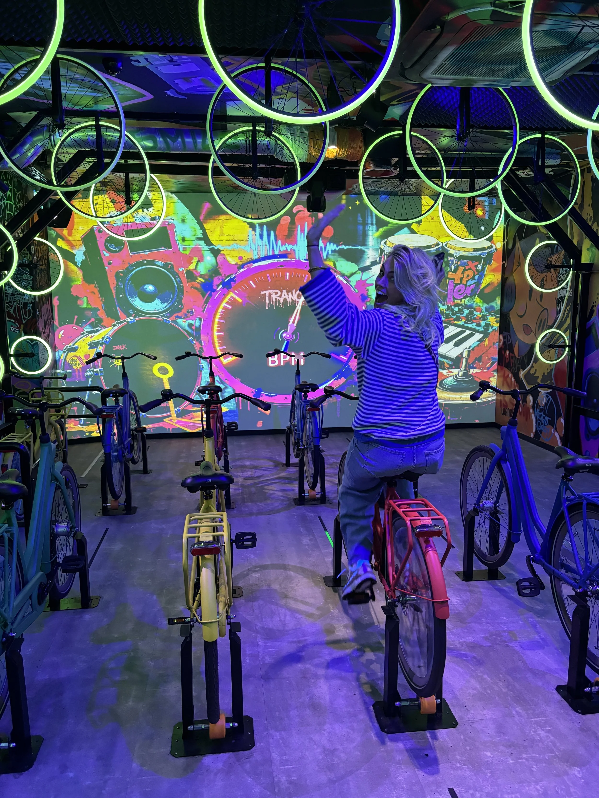 Highlights of Holland: in één middag heel Nederland door.