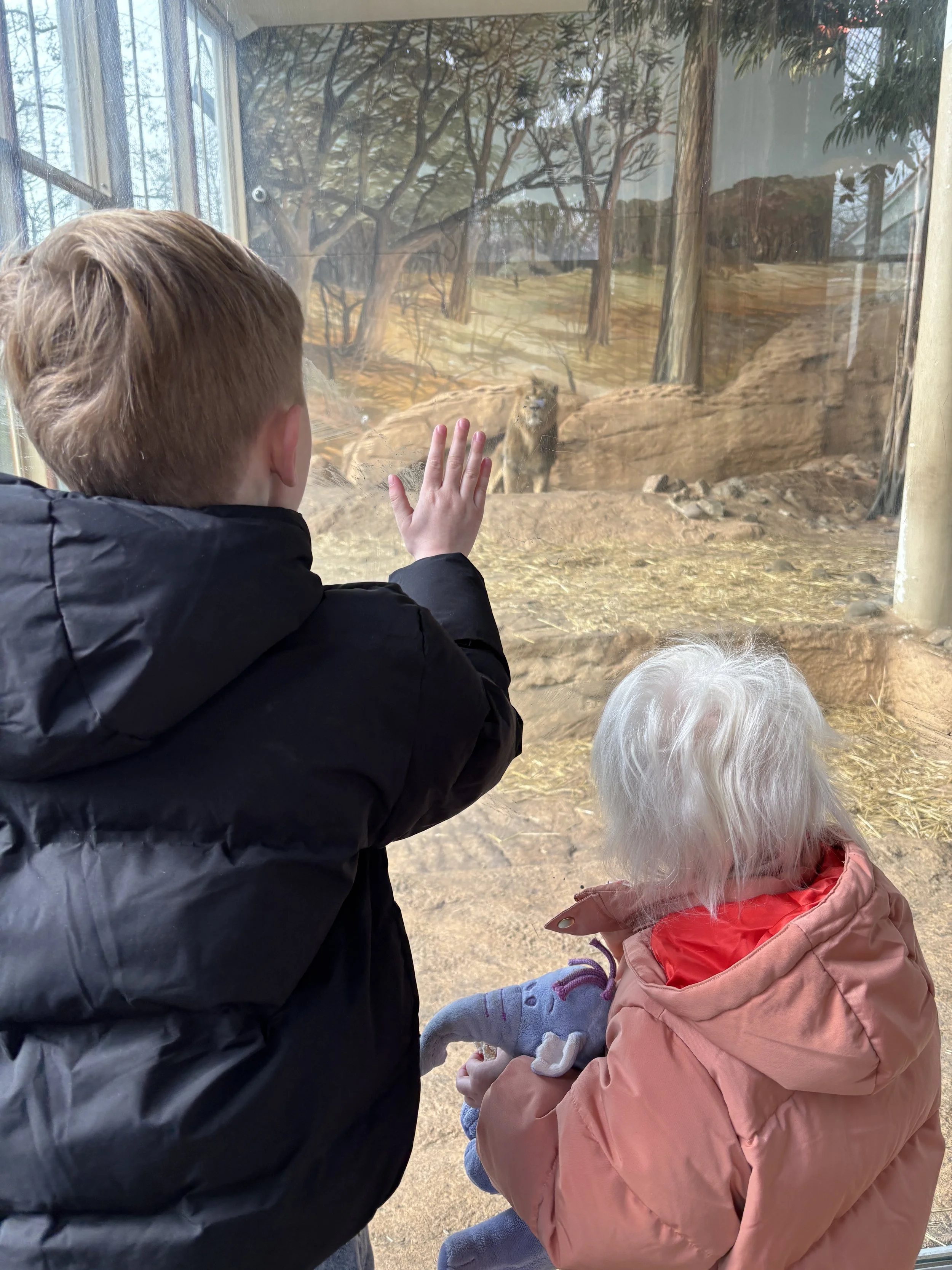 Een dagje naar Diergaarde Blijdorp met drie generaties