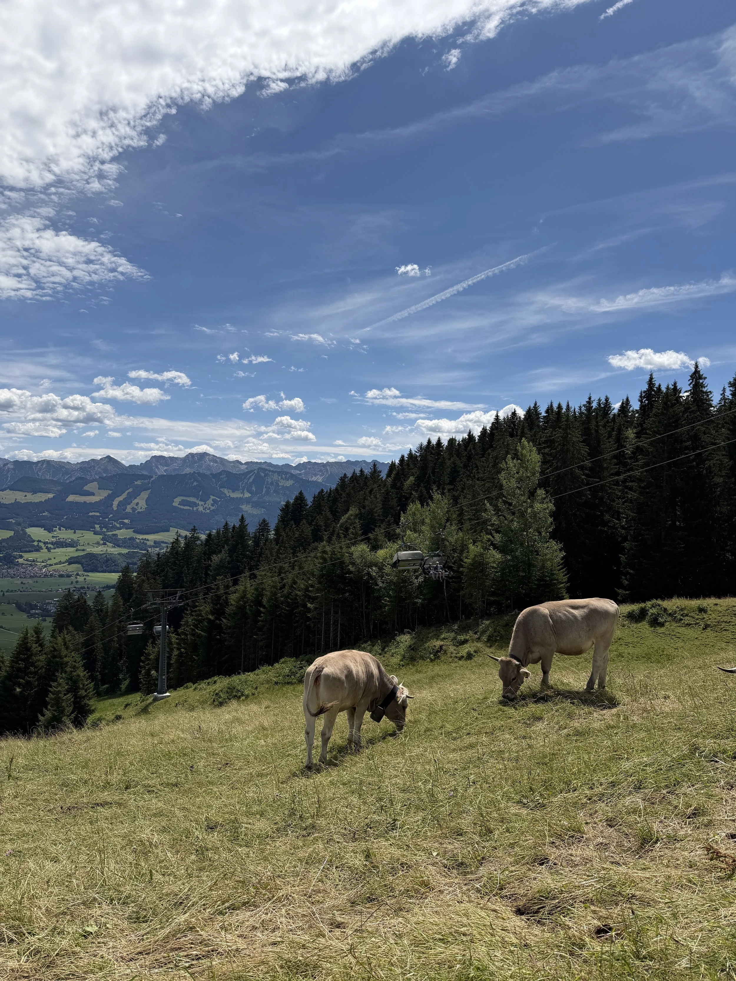 Zomervakantie in de bergen.