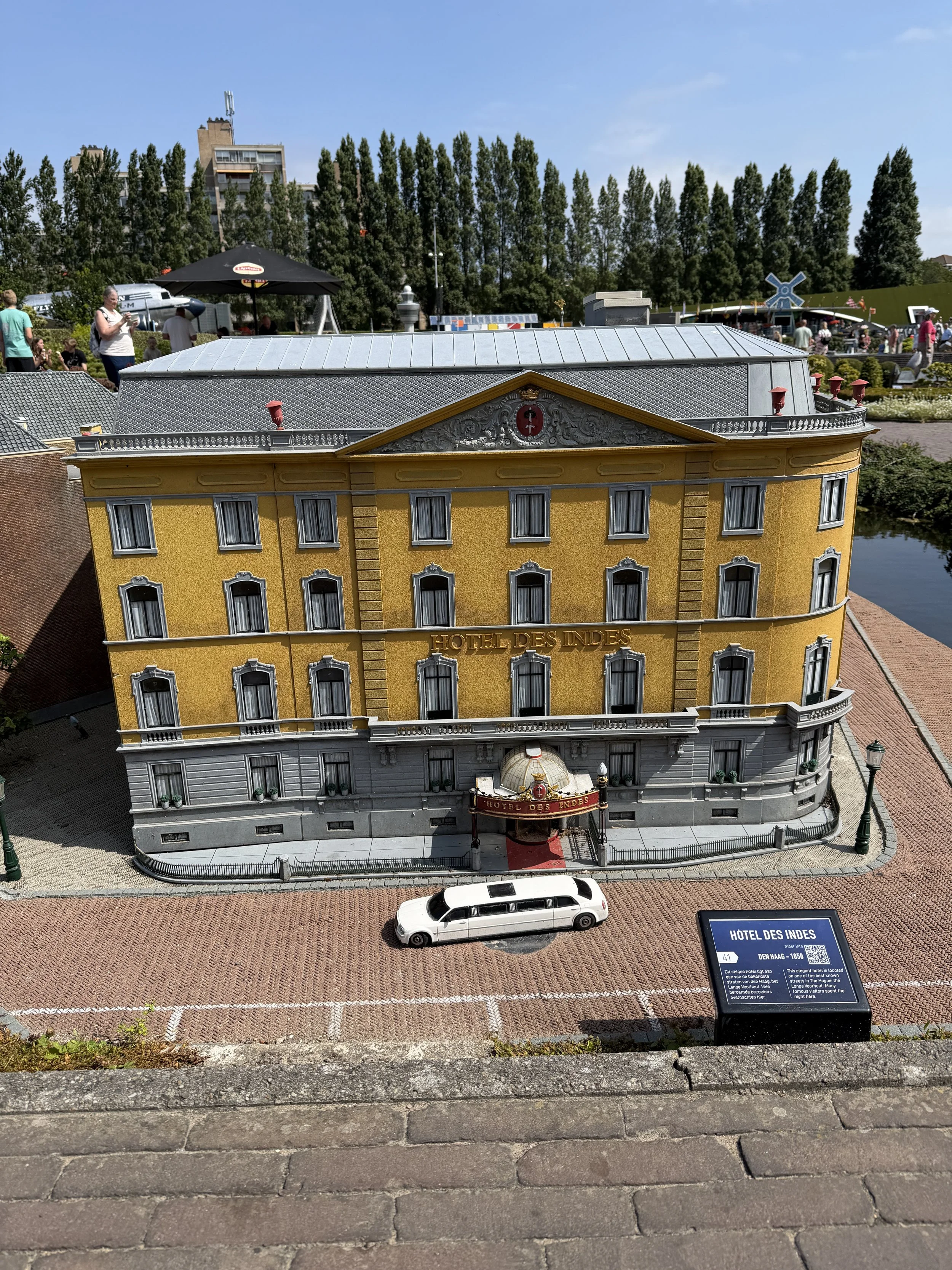 IMG_7462.JPG