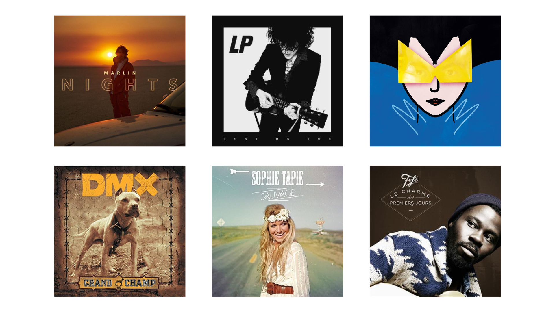 Une grille de six images d'albums musicaux : top gauche - une personne avec des cheveux bouclés et une veste sombre près d'une voiture au coucher du soleil, texte "Nights" ; top centre - une femme avec des cheveux bouclés jouant de la guitare en noir et blanc, texte "Lost on You" ; top droite - un dessin stylisé d'une femme avec des cheveux bleus et une paire de lunettes jaunes ; bottom gauche - une image d'un chien avec un collier en chaîne, texte "DMX" et "Grand Champ" ; bottom centre - une femme blonde souriante avec une couronne de fleurs, texte "Sophie Tape Sauvage" ; bottom droite - un portrait en noir et blanc d'un homme avec un bonnet, texte "Le charme" et "Premiers Jours".