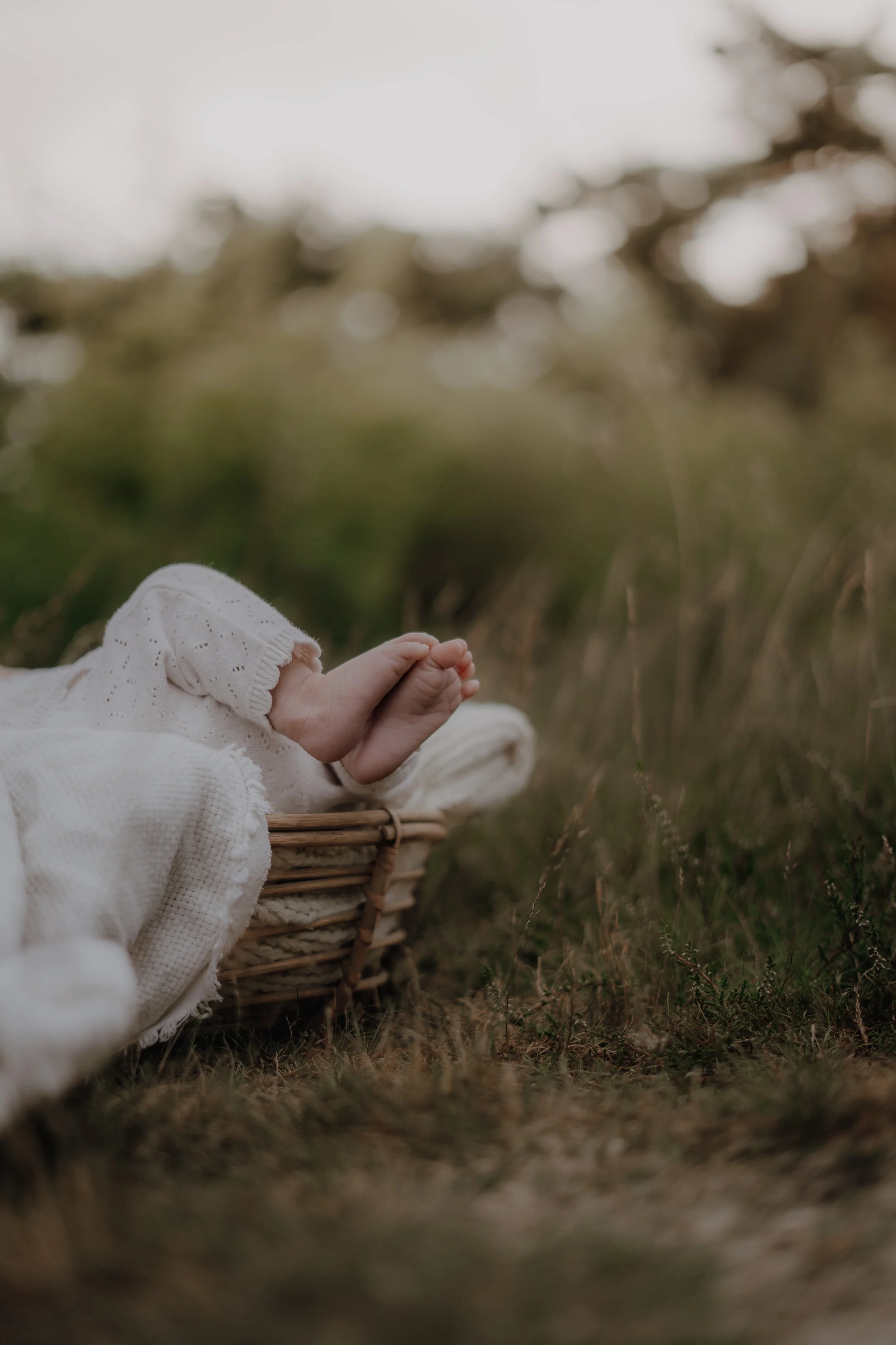Nahaufnahme eines Babyarms und einer Hand, die aus einem weißen, handgestrickten Pullover hervorschauen, in einem Korb liegend im Freien, auf einer Wiese mit unscharfem Hintergrund.