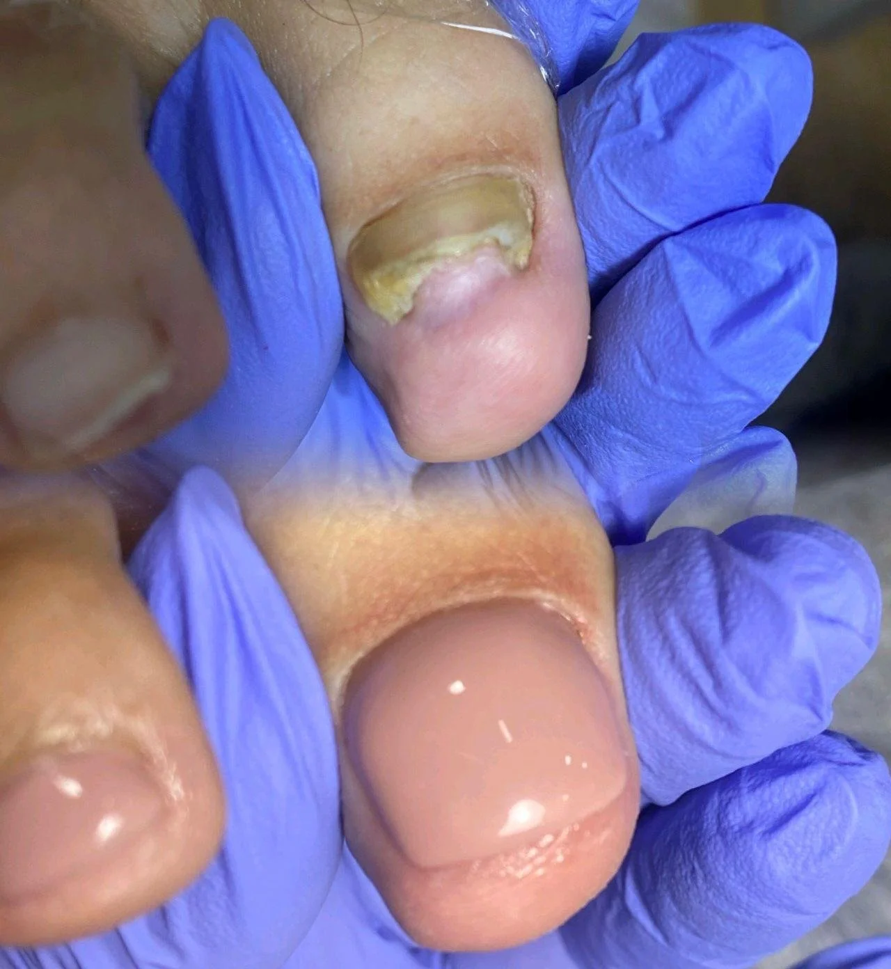 WhatsApp Image 2025-09-30 at 11.12.54.jpeg