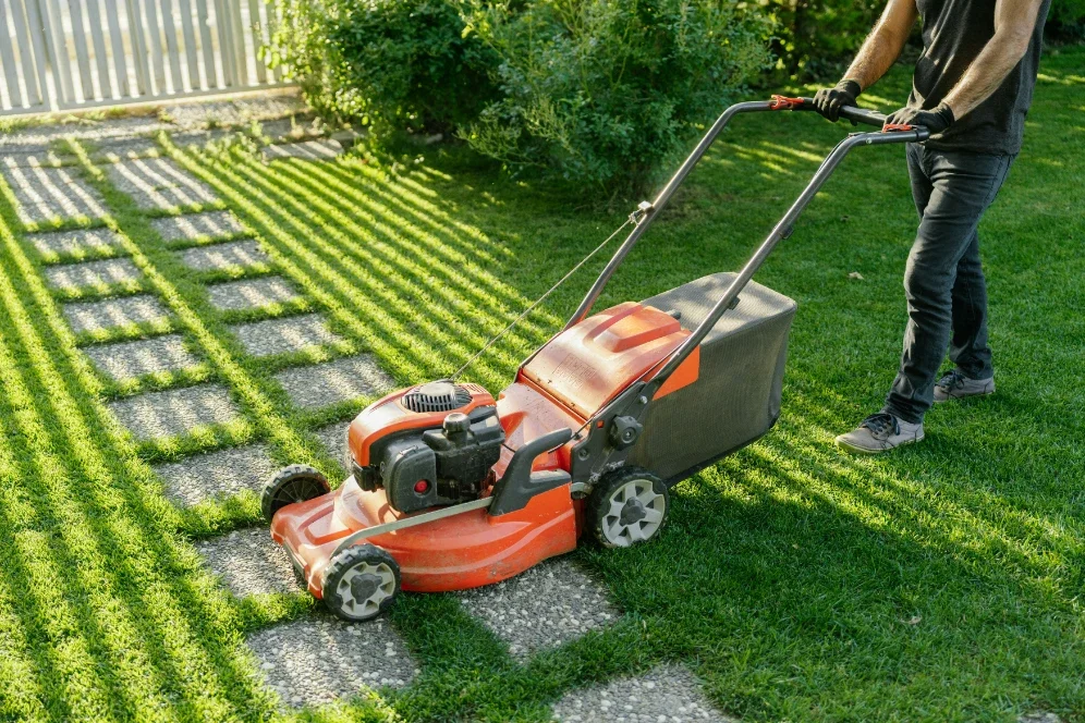 Prevent Lawn Problems Before They Start: A Prevention-First Guide to Healthy Sod Installation