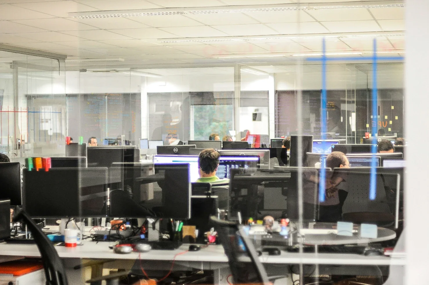 What Recurring Pest Sightings Can Reveal About Office Sanitation Gaps