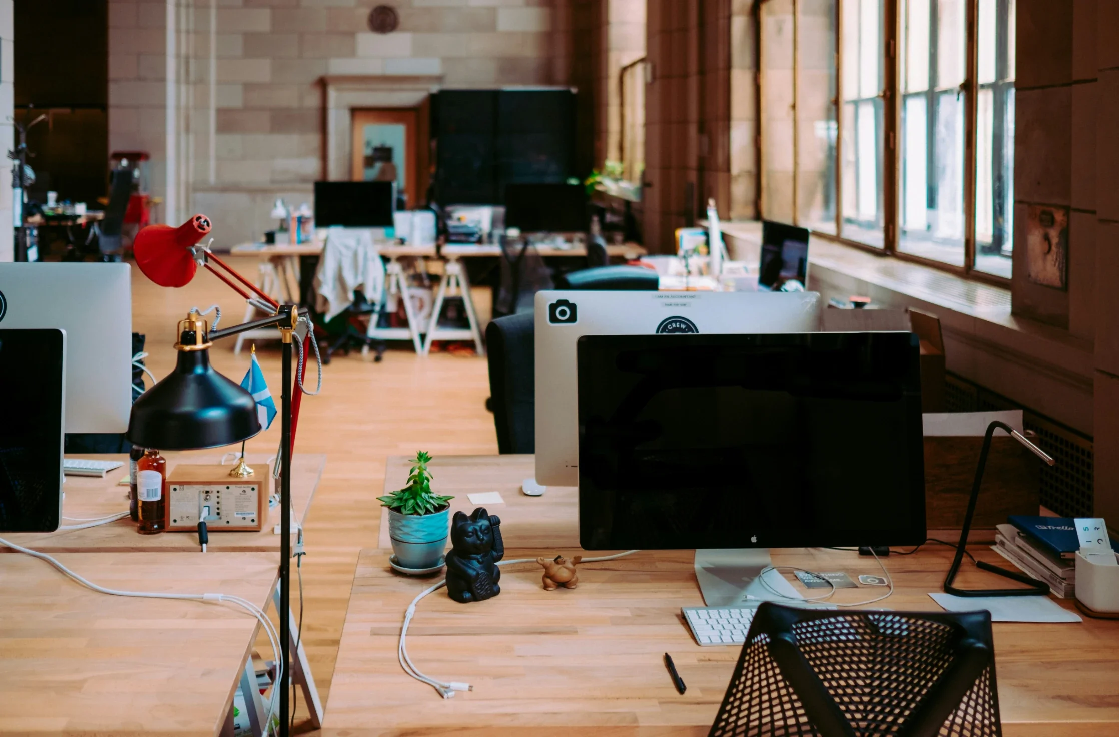 What Office Managers Should Include in a Workplace Pest Response Plan