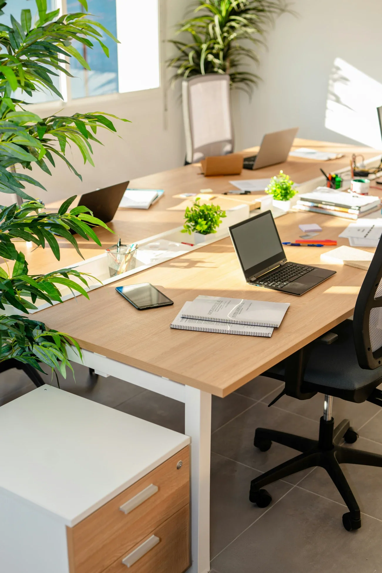How Springdale Offices Can Reduce Pest Risks Around Break Rooms, Storage, and Shared Entryways