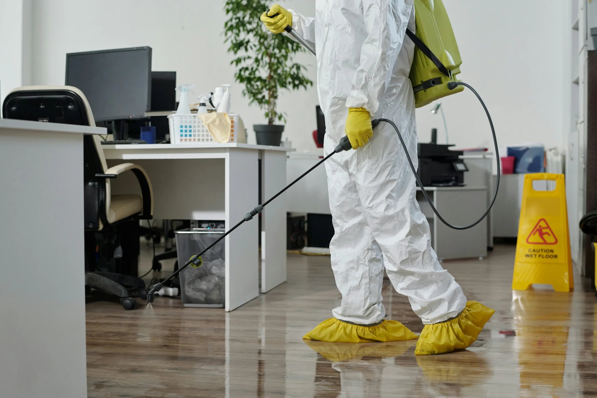 Office Pest Problems That Can Disrupt Employee Productivity