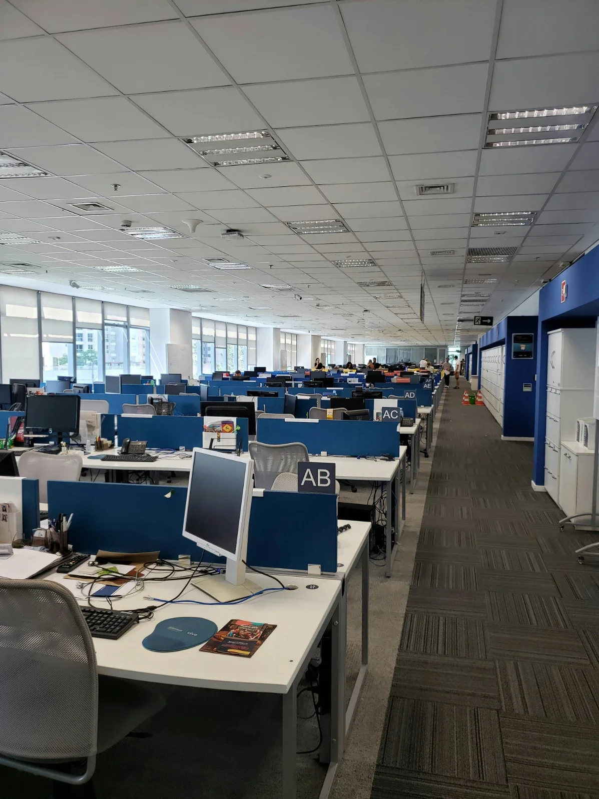Why Termite Problems Can Become a Serious Issue in Office Buildings
