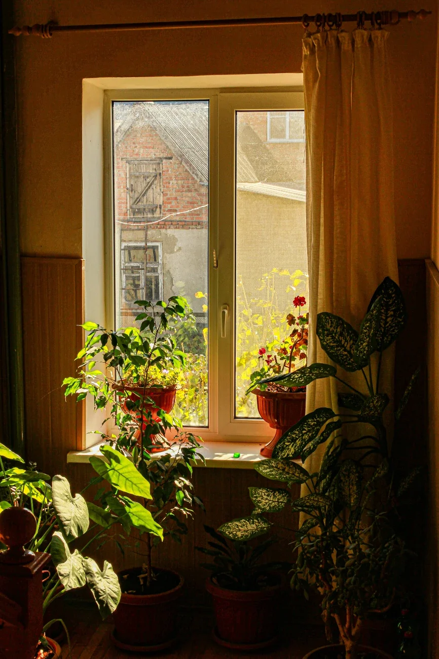 How Long Do Replacement Windows Last? When It's Time to Repair vs. Replace