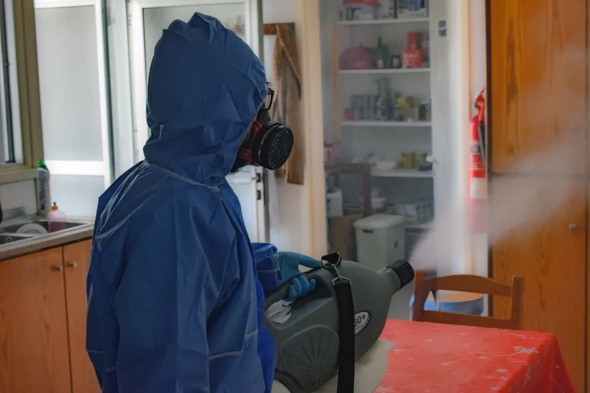 Why Professional Pest Control Services Are an Investment, Not Just an Expense