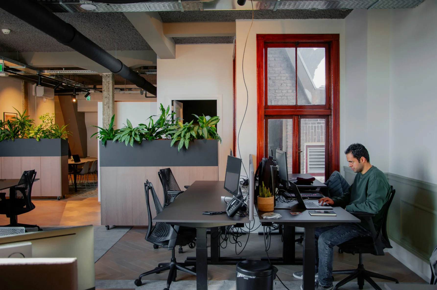 Pest Prevention for Offices With Patios and Outdoor Workspaces