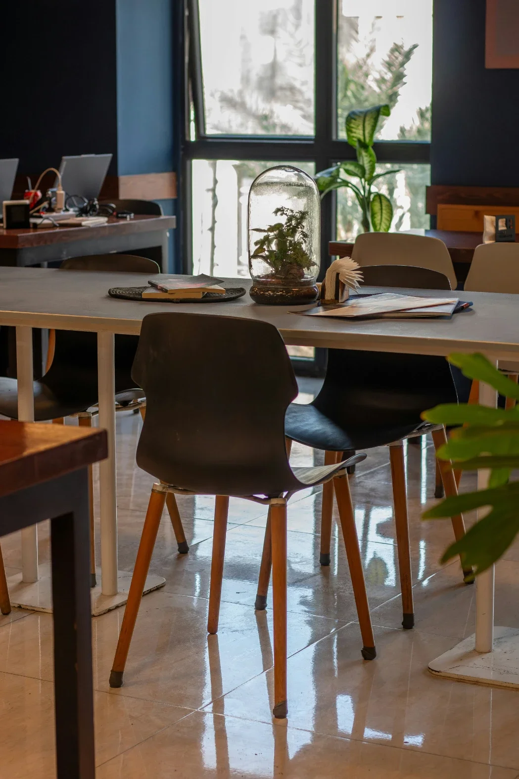 How Office Cleaning Zones Can Become Pest Trouble Spots