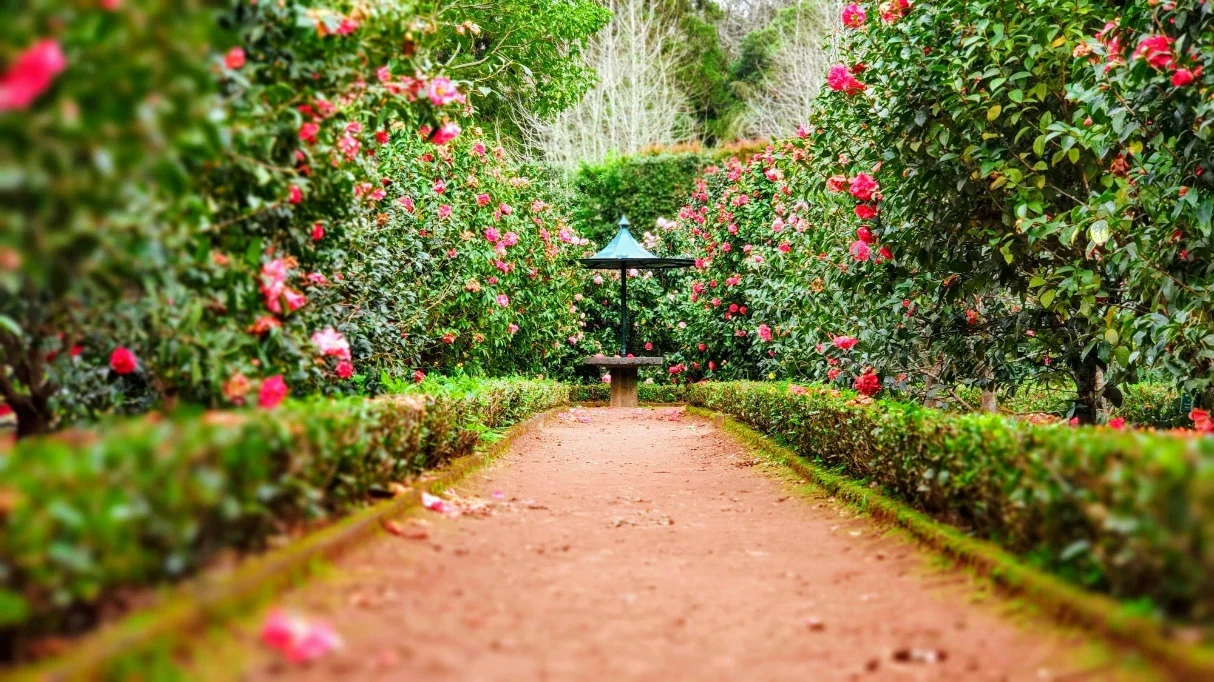 Essential Outdoor Maintenance Tasks for Every Season