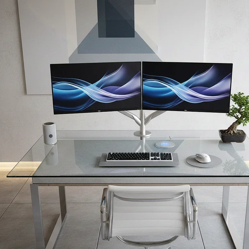 Dual Monitor Desk Setup Ideas