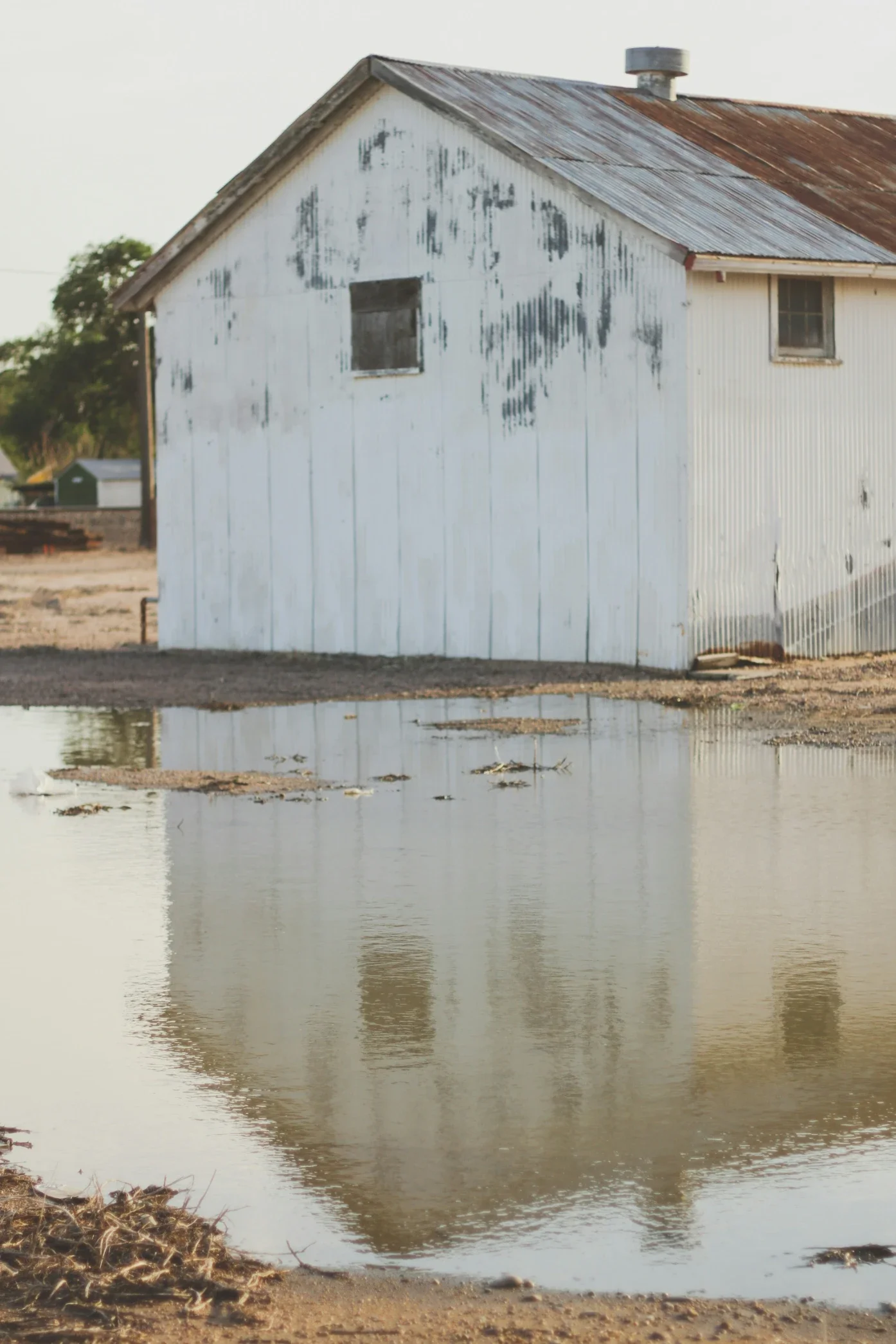 Water Recovery Services Brooklyn In Borough Park and Midwood
